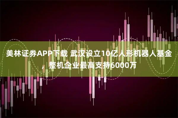 美林证券APP下载 武汉设立10亿人形机器人基金，整机企业最高支持6000万
